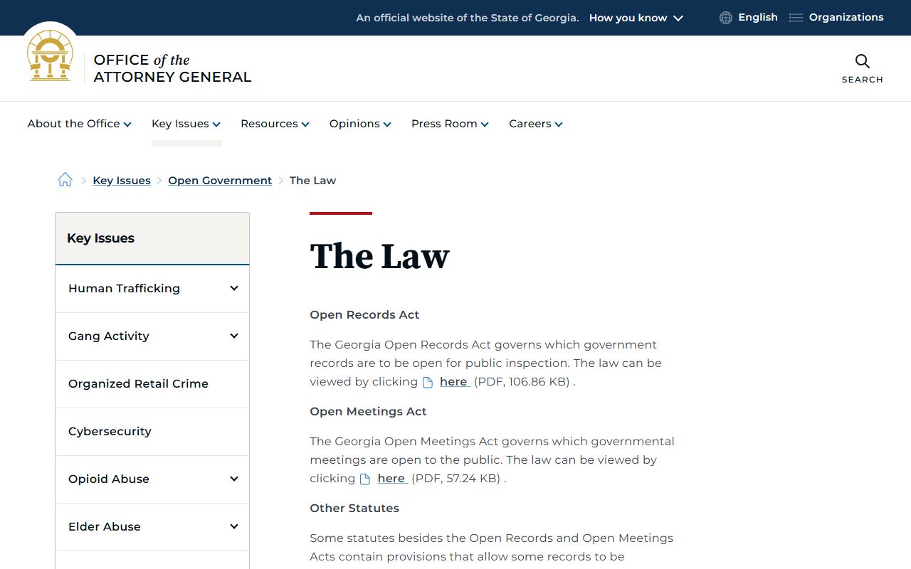 Wilcox County court records Georgia open government law